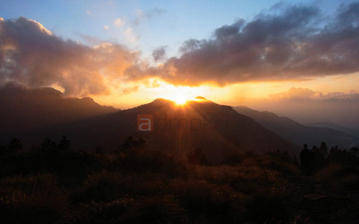 東京ディズニーランド 東京ディズニーシーのチケットの小人 中人 大人の境界線 目的ネット